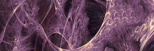 phoebe banner