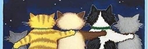 LisaLbm744's profile banner image