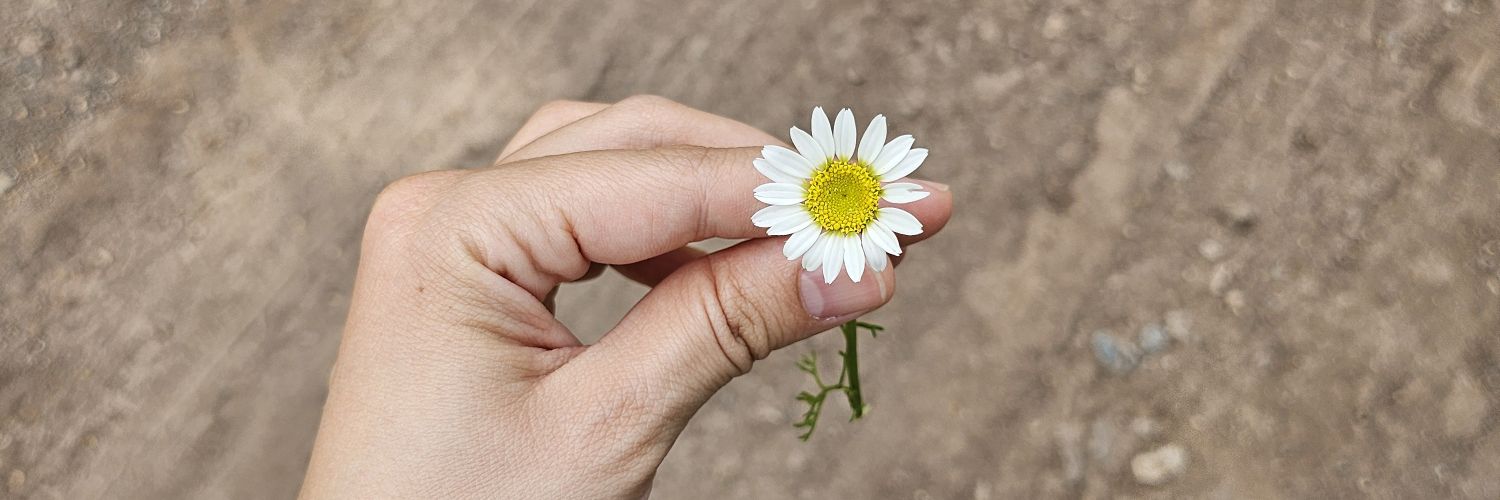 baharhardal's profile banner image