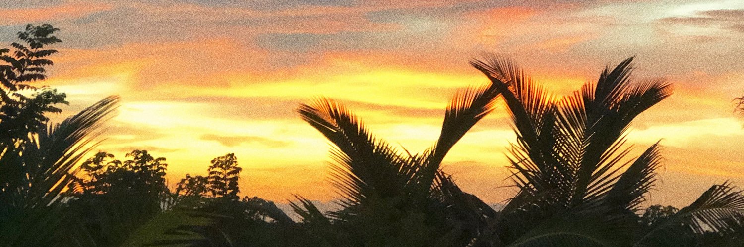 carojimenezro's profile banner image