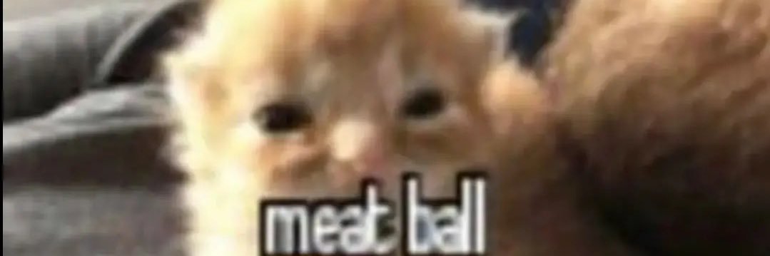 JoelButPrivate's profile banner image