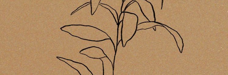 ende_____'s profile banner image