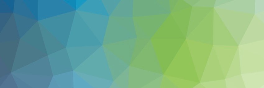 Chapel Language banner