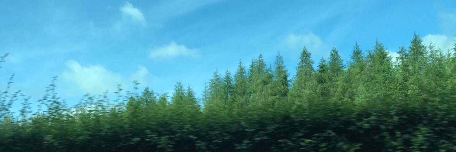 ProfKuah's profile banner image