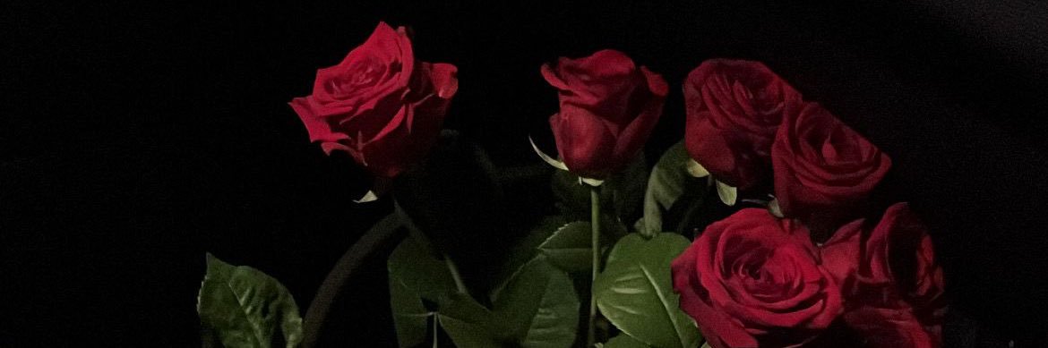 2lini_'s profile banner image