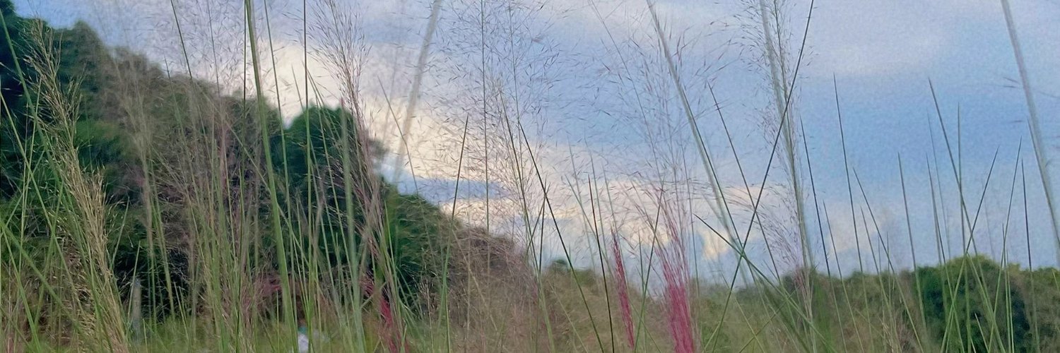 gallaggestin's profile banner image