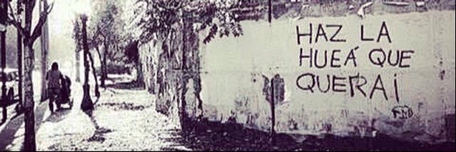 piaortega's profile banner image