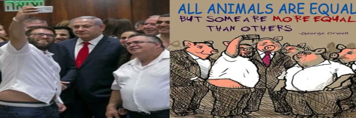 VoPalestine's profile banner image