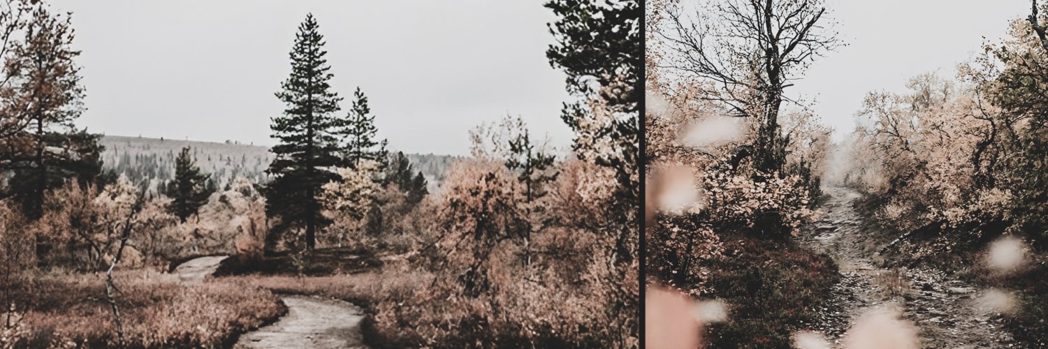 Woewoo's profile banner image