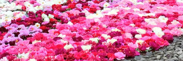 matsujun5213 Profile Banner