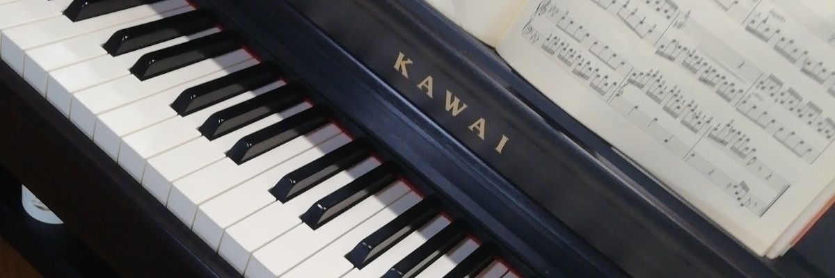 🎹ローゼンホルツ(Mr. field) banner