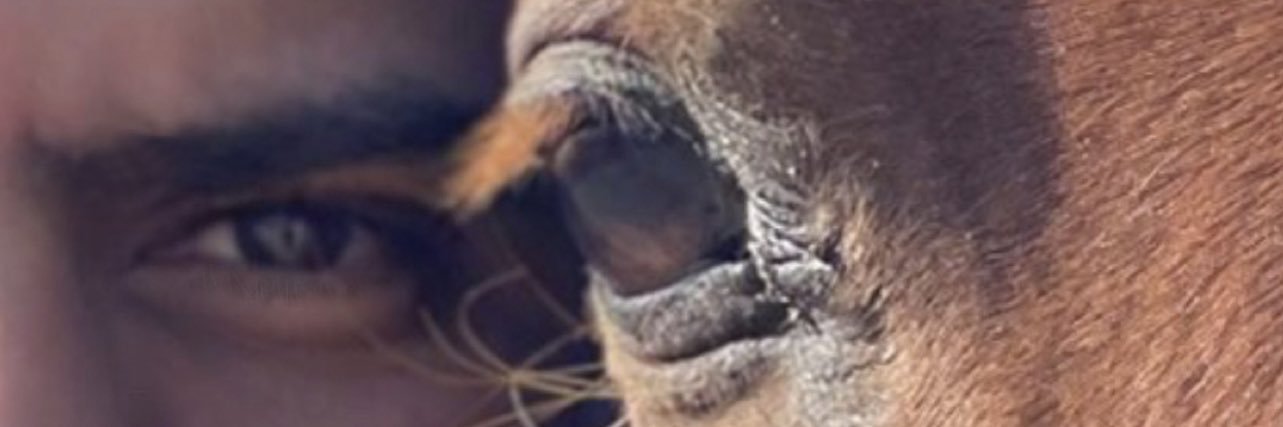 Alifarouqq's profile banner image