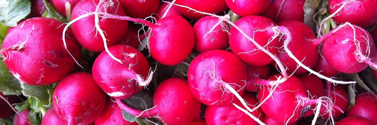 The Red Cat NYC banner