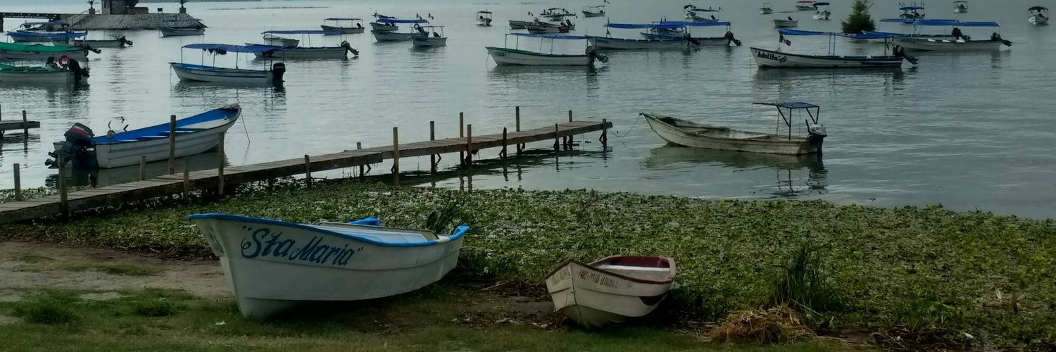 Monserrat Roman L banner