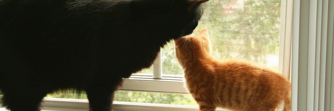 how deep is your love banner