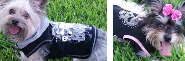 P2BHisPrincess Profile Banner