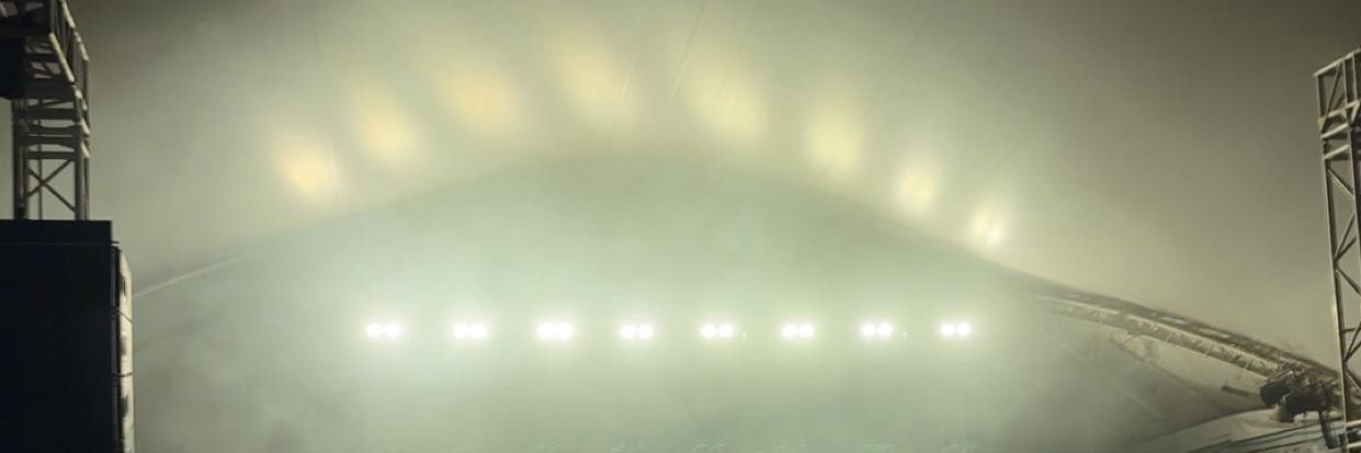 delusionalfitz's profile banner image