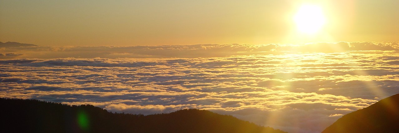 alpha5121's profile banner image