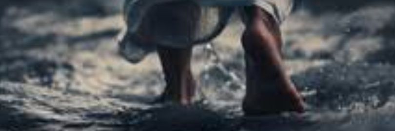 9 banner