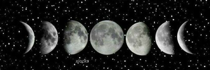 Vicky_Garnero's profile banner image