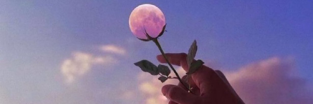 StudMuffins_'s profile banner image