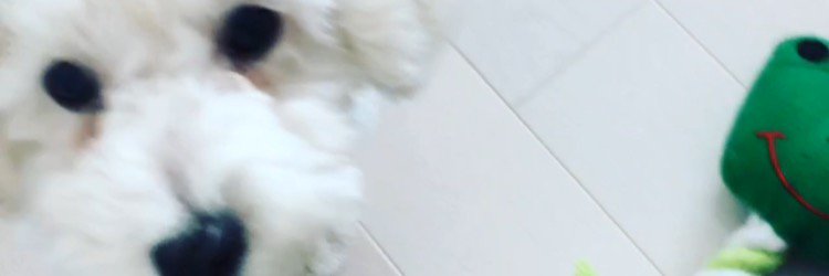 shunkun1207's profile banner image