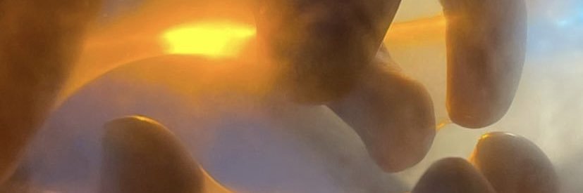 rubz banner