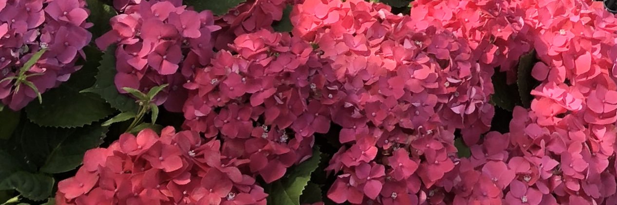 TakeThisElle's profile banner image