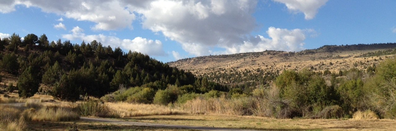 Robert Kennedy banner