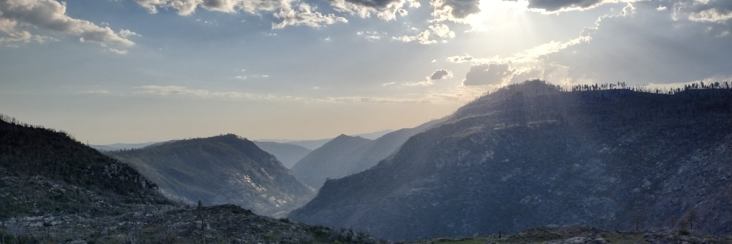 mamafrisk's profile banner image