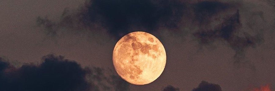 M a r i a ♕. banner