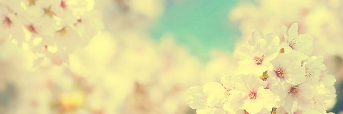 TimeSkipLuffy's profile banner image