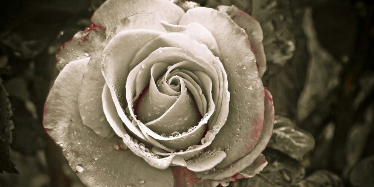 ir_damar's profile banner image