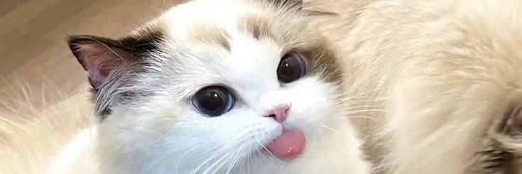 💜มะ เมยยยย 🌧️ banner