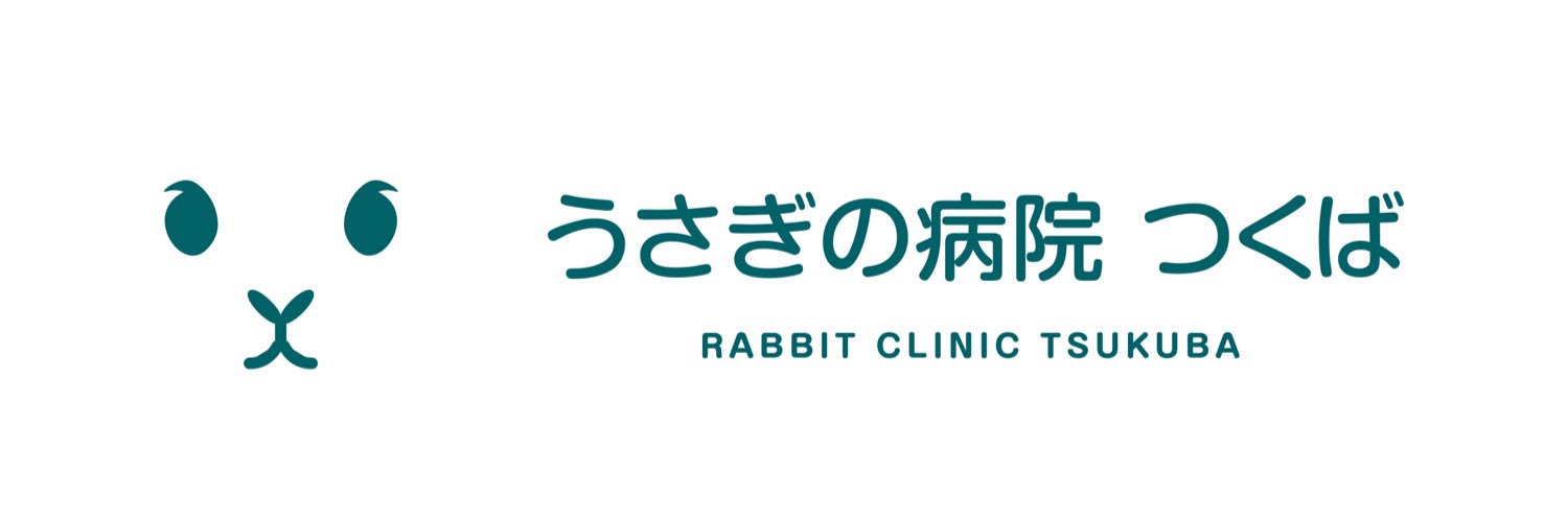 古谷 昌大@うさぎの病院 つくば🐰's banner