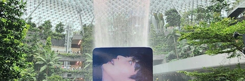 สามเร้กของมัมหมาบ้อกๆ 🫳🏼🐶 banner