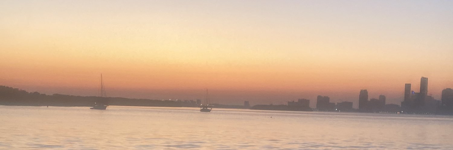 carolcoronel_'s profile banner image