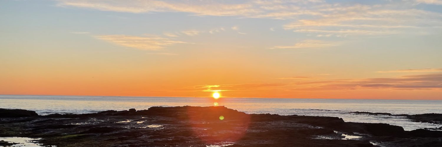 Meggen Pigram banner