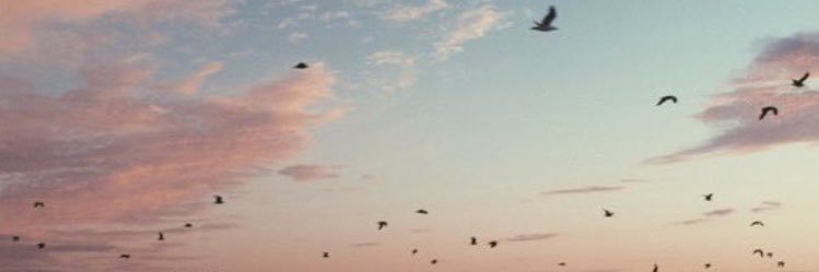 mhazarr's profile banner image