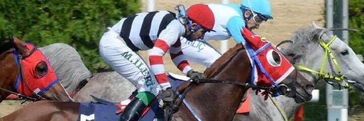 ibrahim halil baydan banner