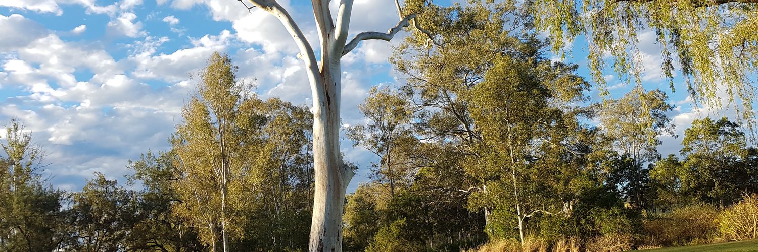 Republic Of Sonorous banner