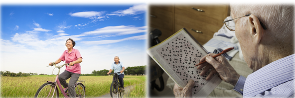 SilverSanteFR Profile Banner