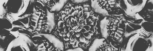 Stelaerol's profile banner image