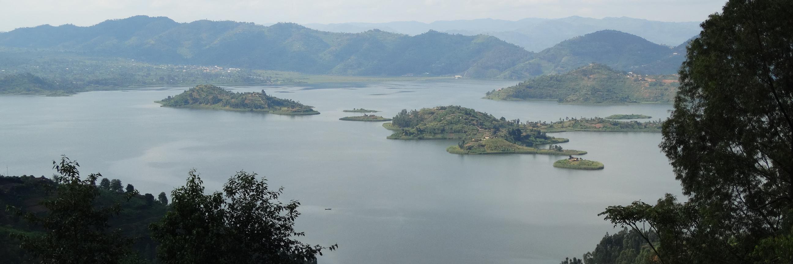 Ricardo Sabates banner