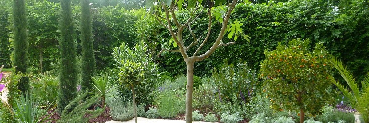 UNEP Méditerranée banner