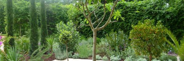 UnepMed Profile Banner