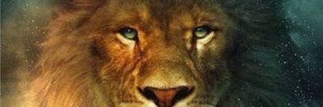 jackbengochea's profile banner image