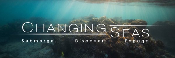 CHANGINGSEAS Profile Banner