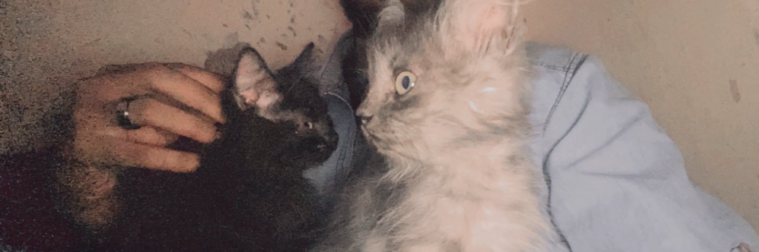 FVLVKY's profile banner image