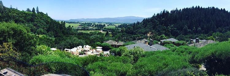 Ty Richchouyrod banner